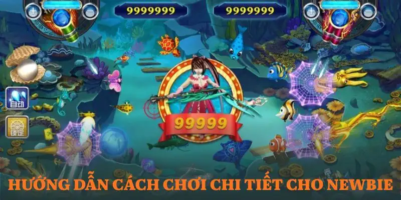 ban-ca-tay-du-ky-huong-dan