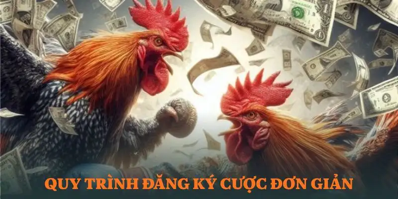 da-ga-qs88-huong-dan